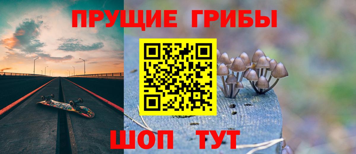 Псилоцибиновые грибы Psilocybine cubensis Первоуральск